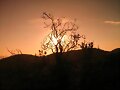 Atacama