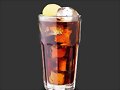 D&iacute;a de la Piscola