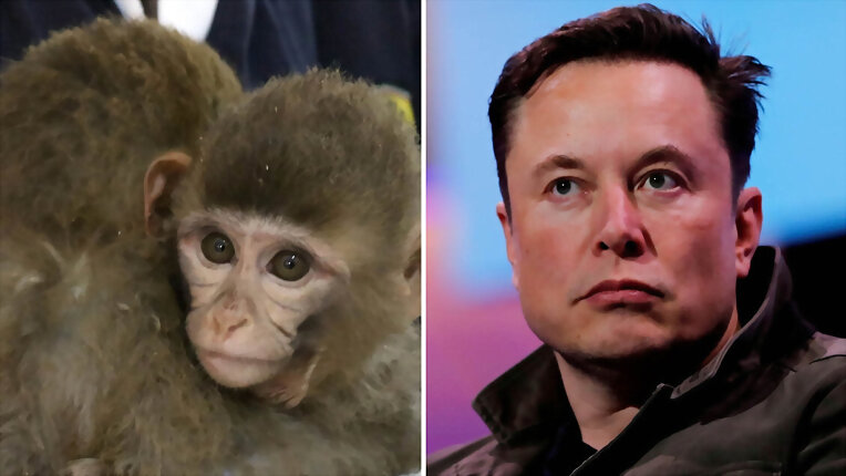 Elon Musk y "Neuralink"