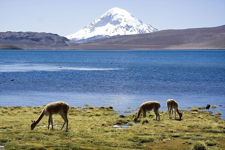 Chungara Chile