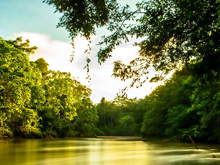 Naturaleza