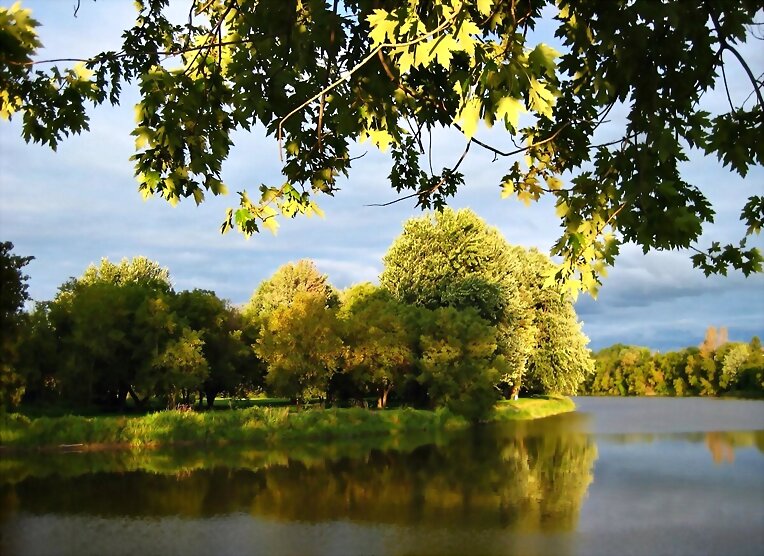 Naturaleza