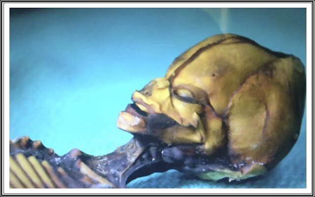 Los extraterrestres no son como creemos
