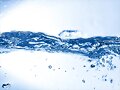 Agua