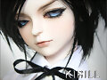 Dream of doll