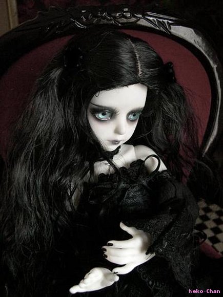 *------------------------------*
