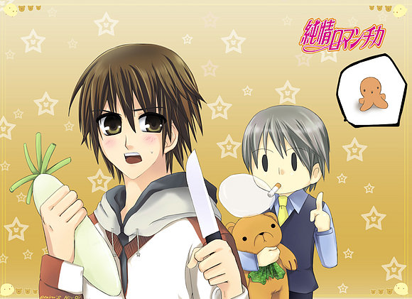 junjou romatic...