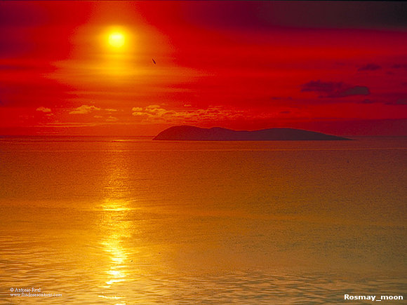 atardecer