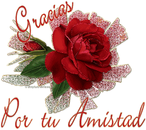 gracias amigos