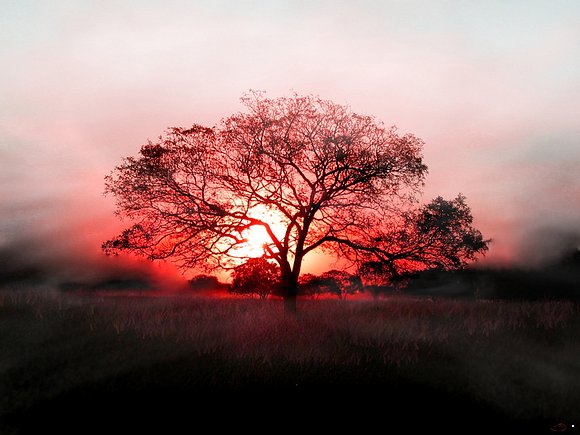 amanecer