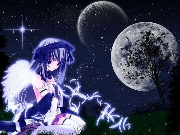 ❤*(｡◕‿‿◕&#65