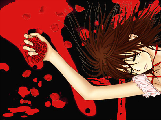 Yuuki- Vampire Knight