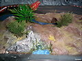 vegetacion2