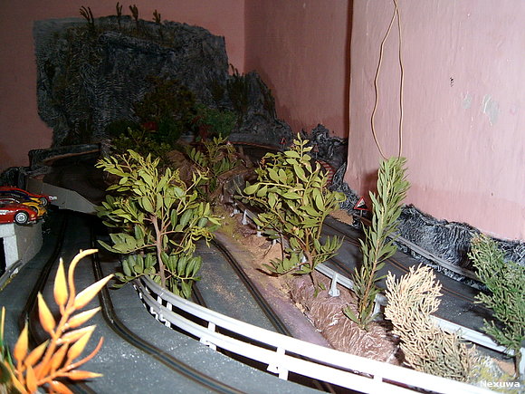 vegetacion8