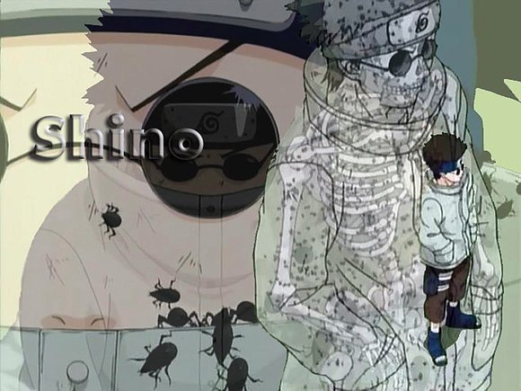 Shino aburame