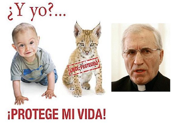 Vale, a vosotros os protegemos