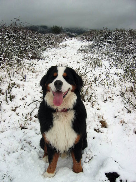 que gustazo la nieve en la lama
