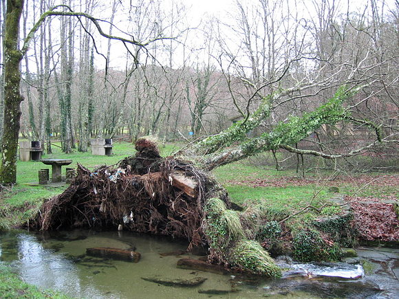 TEMPORAL EN GALICIA..