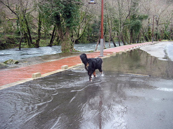 CRECIDA DEL RIO