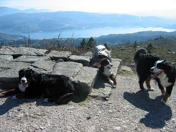 ANOUK, MORGAN Y NEO