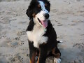 NEO EN BARRA