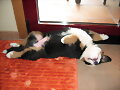 1&ordm; siesta placentera con 2 meses