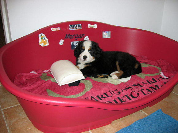 EN SU CAMA