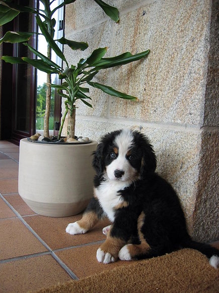 con 2 meses el 7 de junio 2008