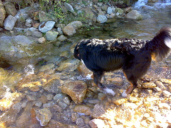 un bañito