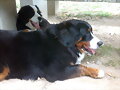 Anouk y Morgan, despues de jugar
