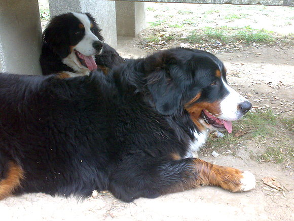 Anouk y Morgan, despues de jugar