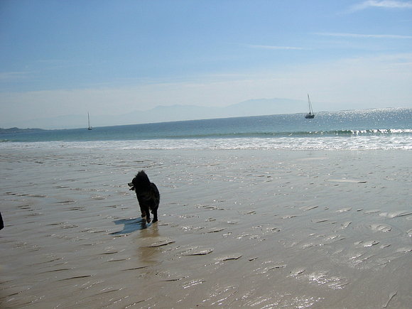 EN LA PLAYA DE BARRA