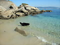 MORGAN EN.... EL PARAISO