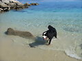 SALIENDO DEL AGUA