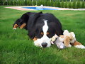 Descansando.....???