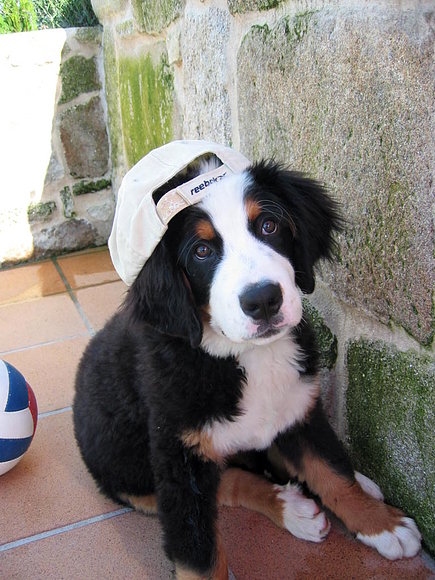20 julio 2008