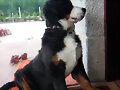 Y Me gusta posar ... como veis de perfil