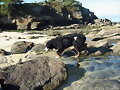 Hoy, en la playa... pescando???