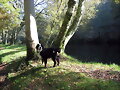 De paseo en puente caldelas junto al rio