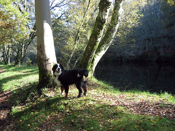 De paseo en puente caldelas junto al rio