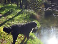 Una belleza contemplando otra.. belleza
