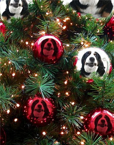 MORGAN OS DESEA FELIZ NAVIDAD
