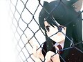 neko