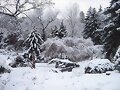 invierno en toronto