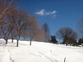 invierno en toronto