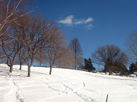 invierno en toronto