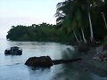 mi isla gorgona