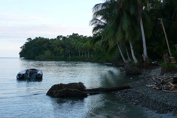 mi isla gorgona