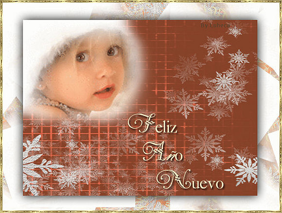 ¡¡¡Happy New Year 2011!!!