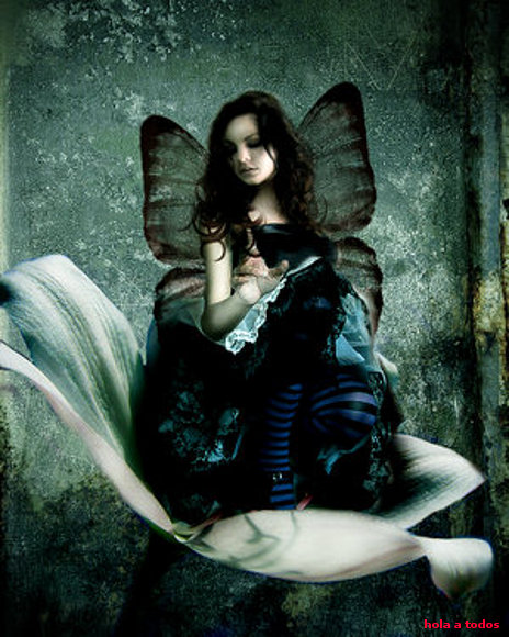 mariposita